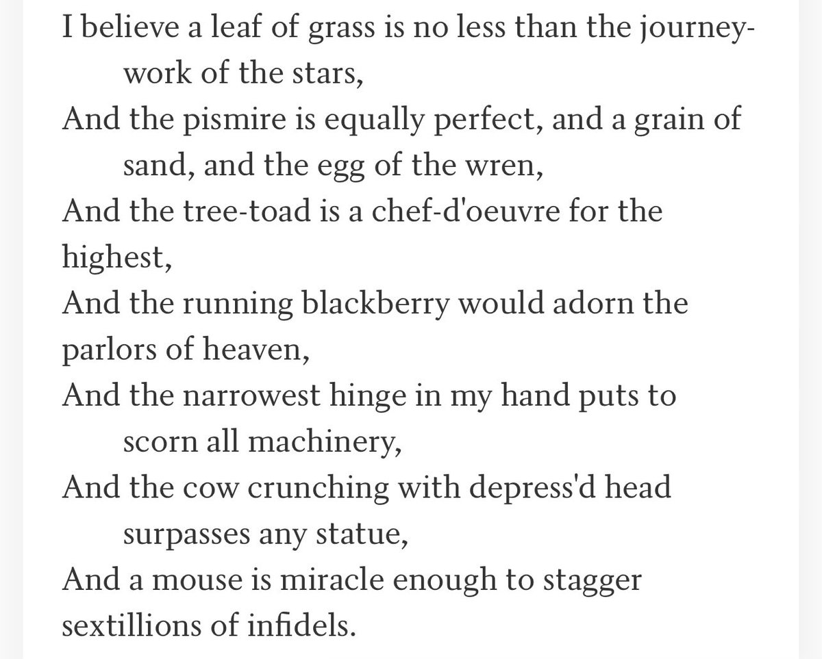 Andrew Fogle tweet media