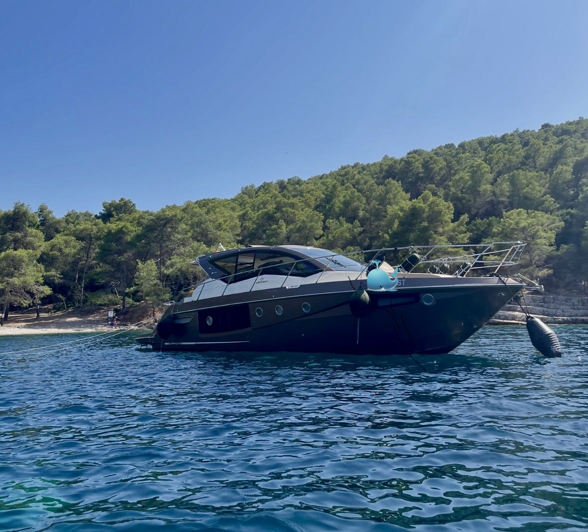 Nedeljko Subotić tweet media