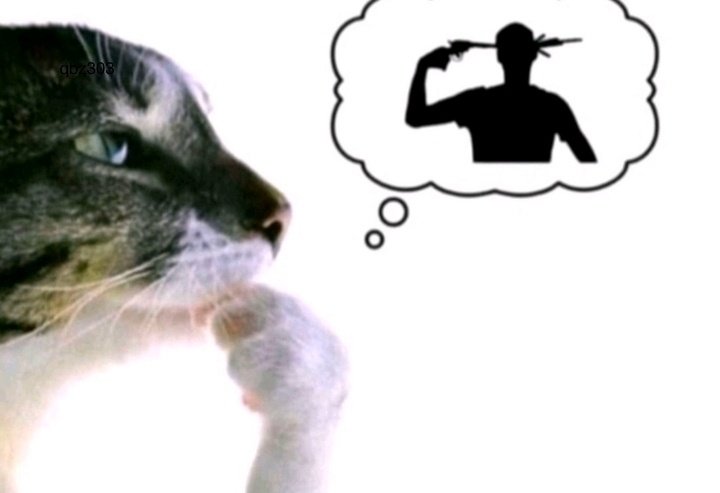 KKrzysiu tweet media