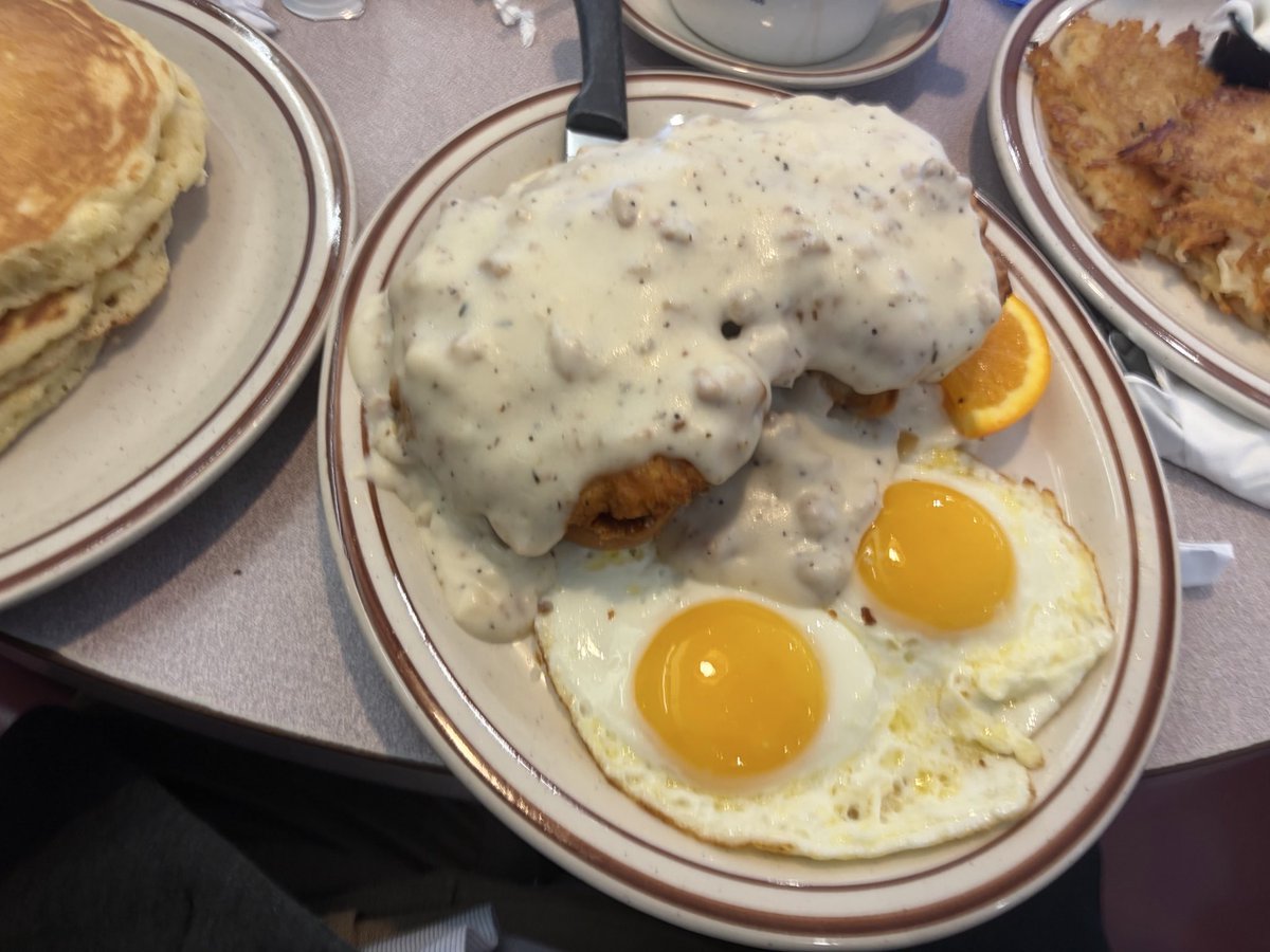 ガンビー（銃蜂） tweet media