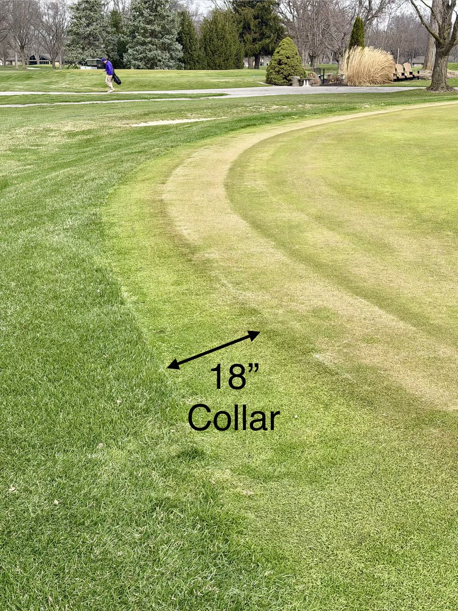 Chad Allen tweet media