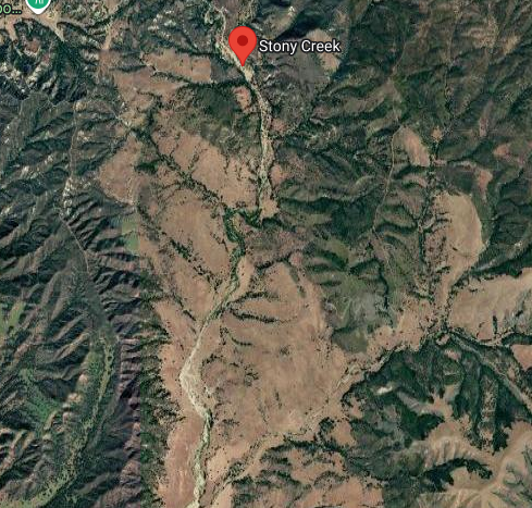 Dave Toussaint tweet media