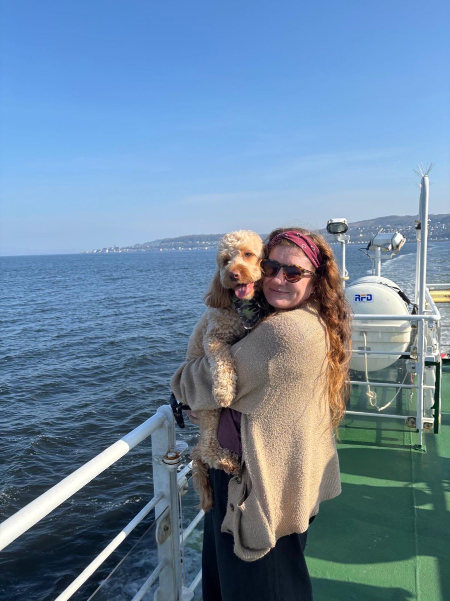 EveB ๐ tweet media