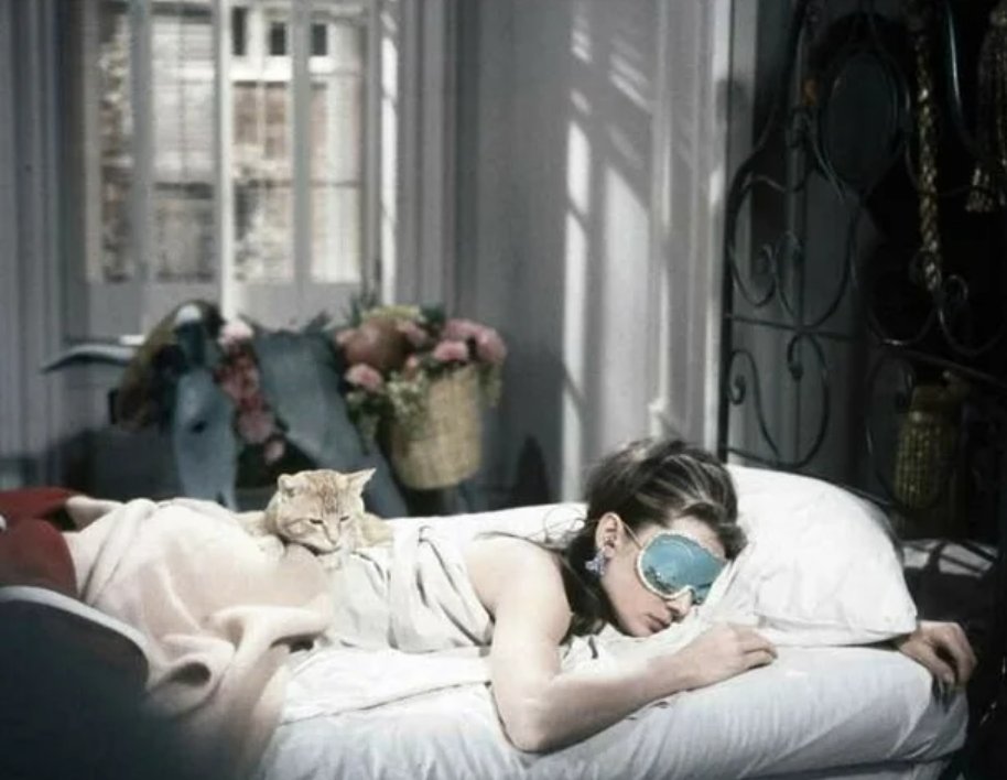 Jenny Difficult-Frecklington-Jones 🇵🇸🍉🇮🇷 tweet media