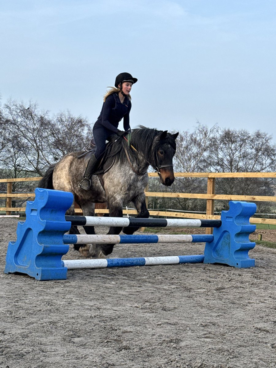 Freja Thackray tweet media