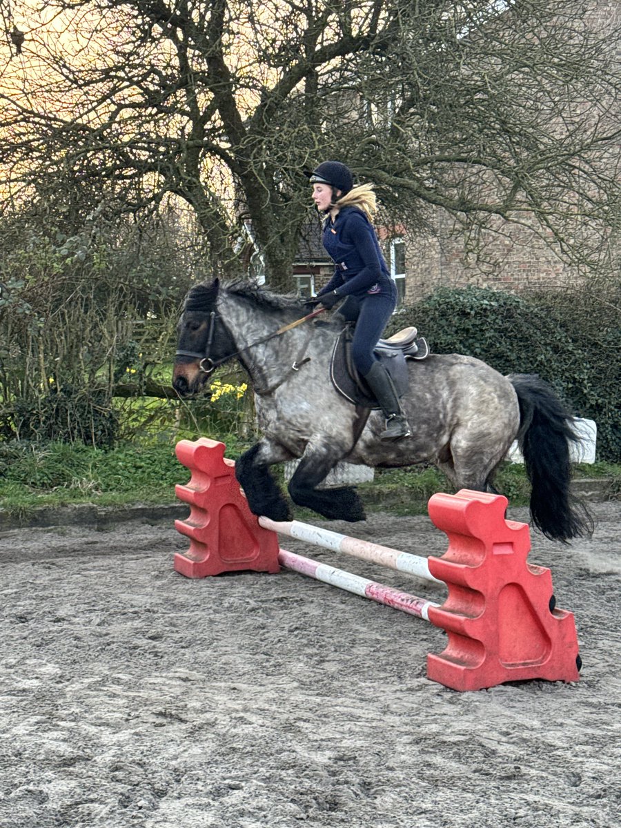 Freja Thackray tweet media