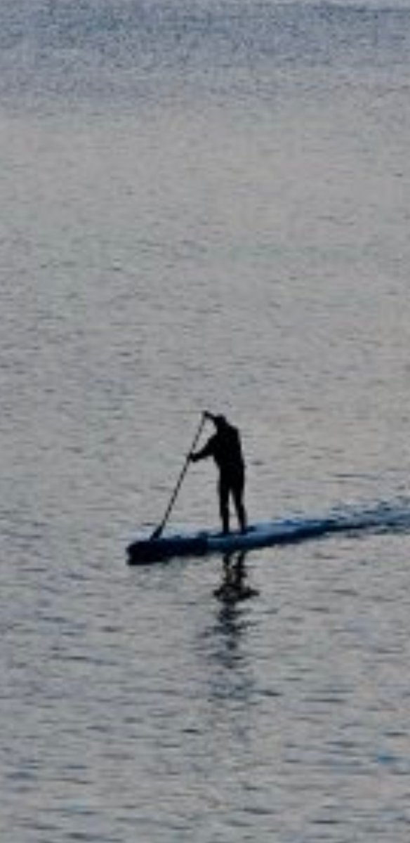 MetropolisInAsk tweet media