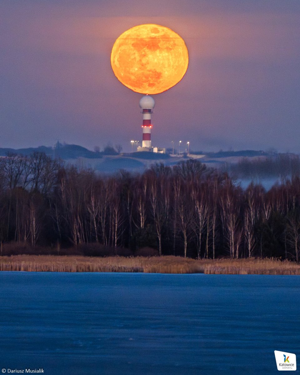 TransInfo.pl tweet media