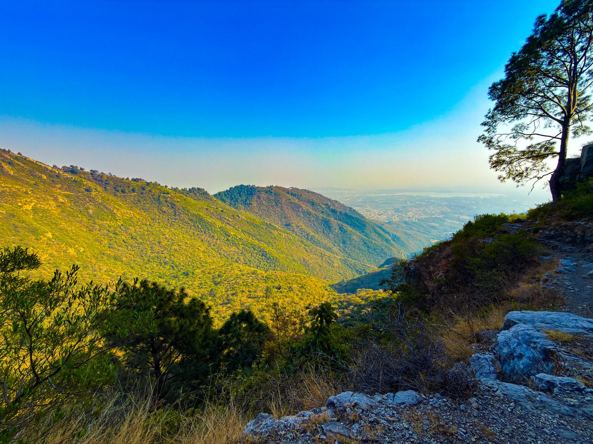 0xBunny.ip🐰 tweet media