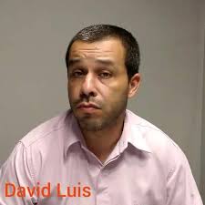 Central Molesta tweet media