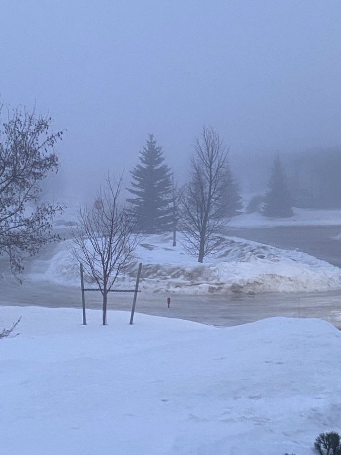 HildyCat🌻 tweet media