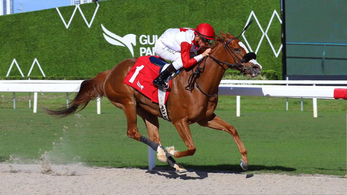 Gulfstream Park tweet media