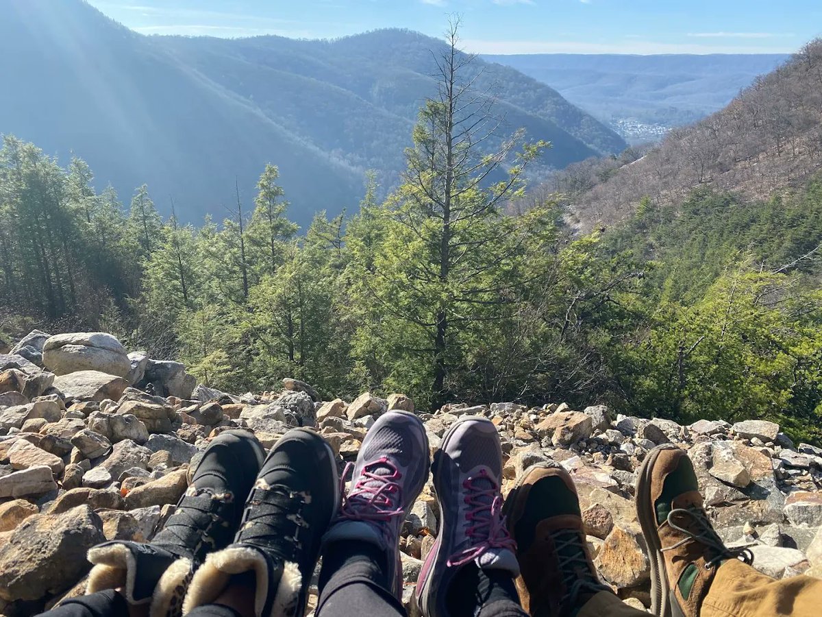 S. Alleghenies - PA tweet media