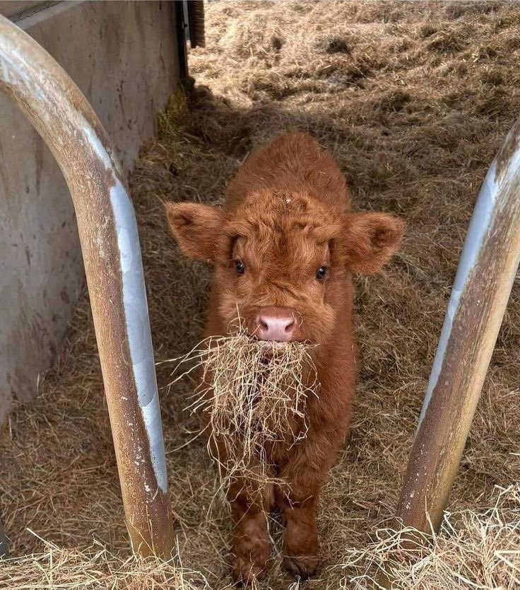 soph 🪽🐿️ | spntoronto tweet media