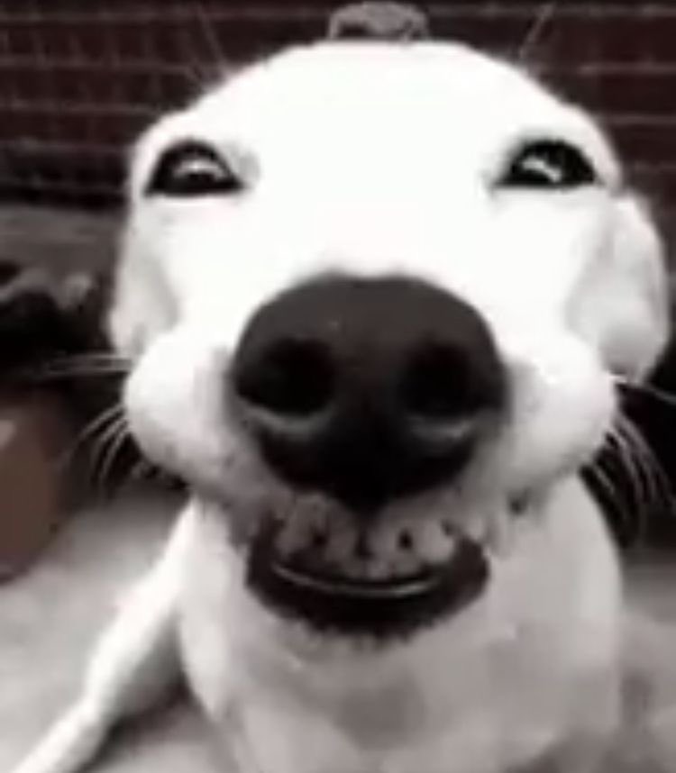 mel 🏒 tweet media