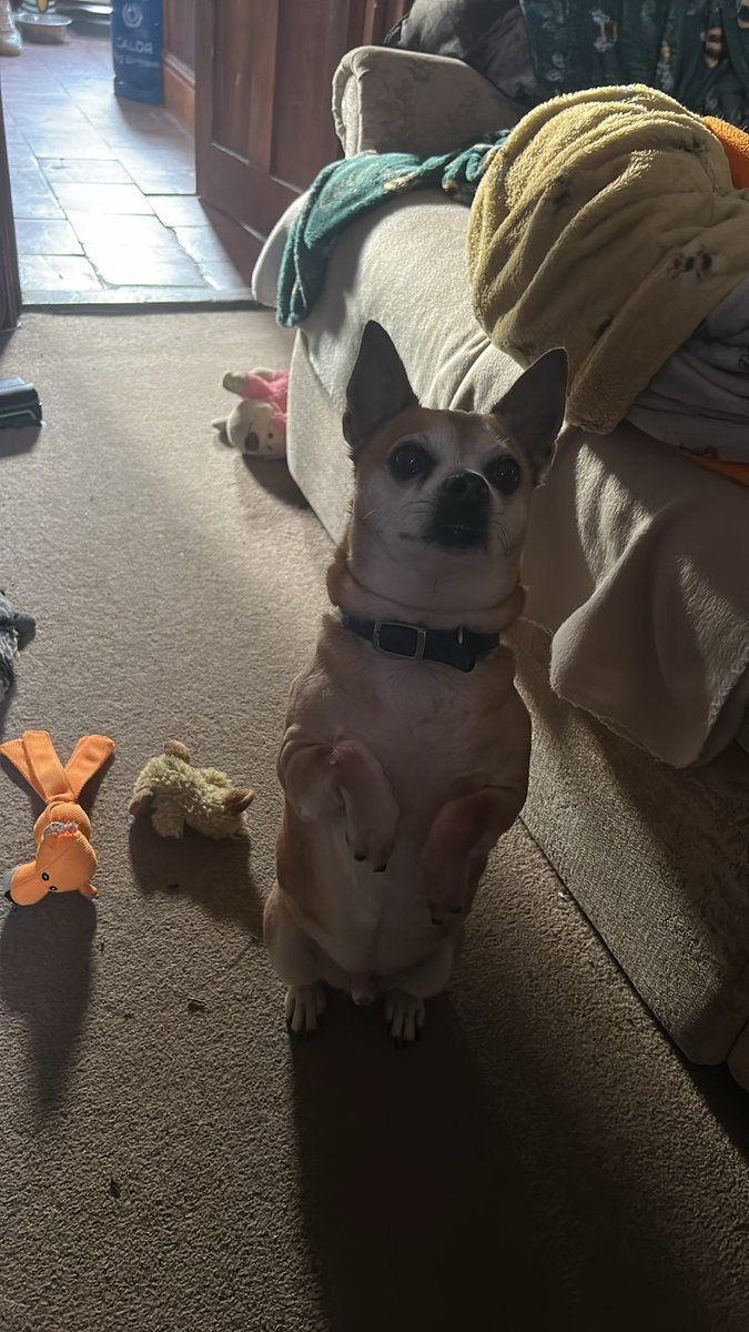 💛Amanda D💛 tweet media