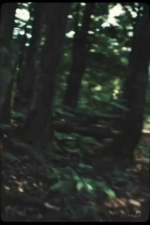 Zoe Blondy ❤️ FREE OF tweet media