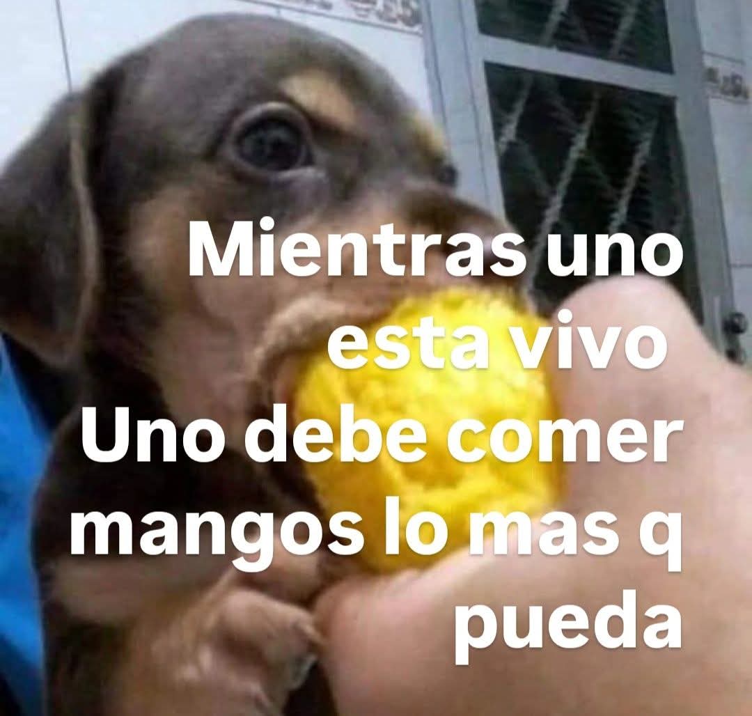 Animalitos en aprietos. tweet media