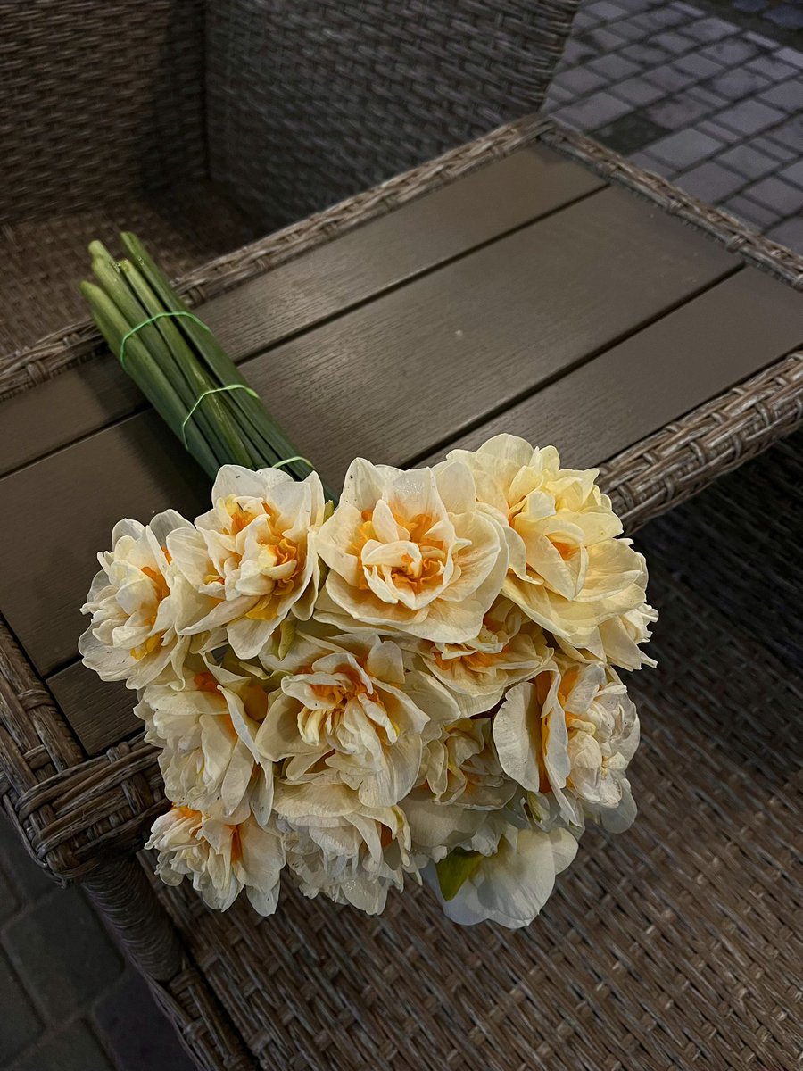 Твій внутрішній КИТ 🇺🇦 tweet media