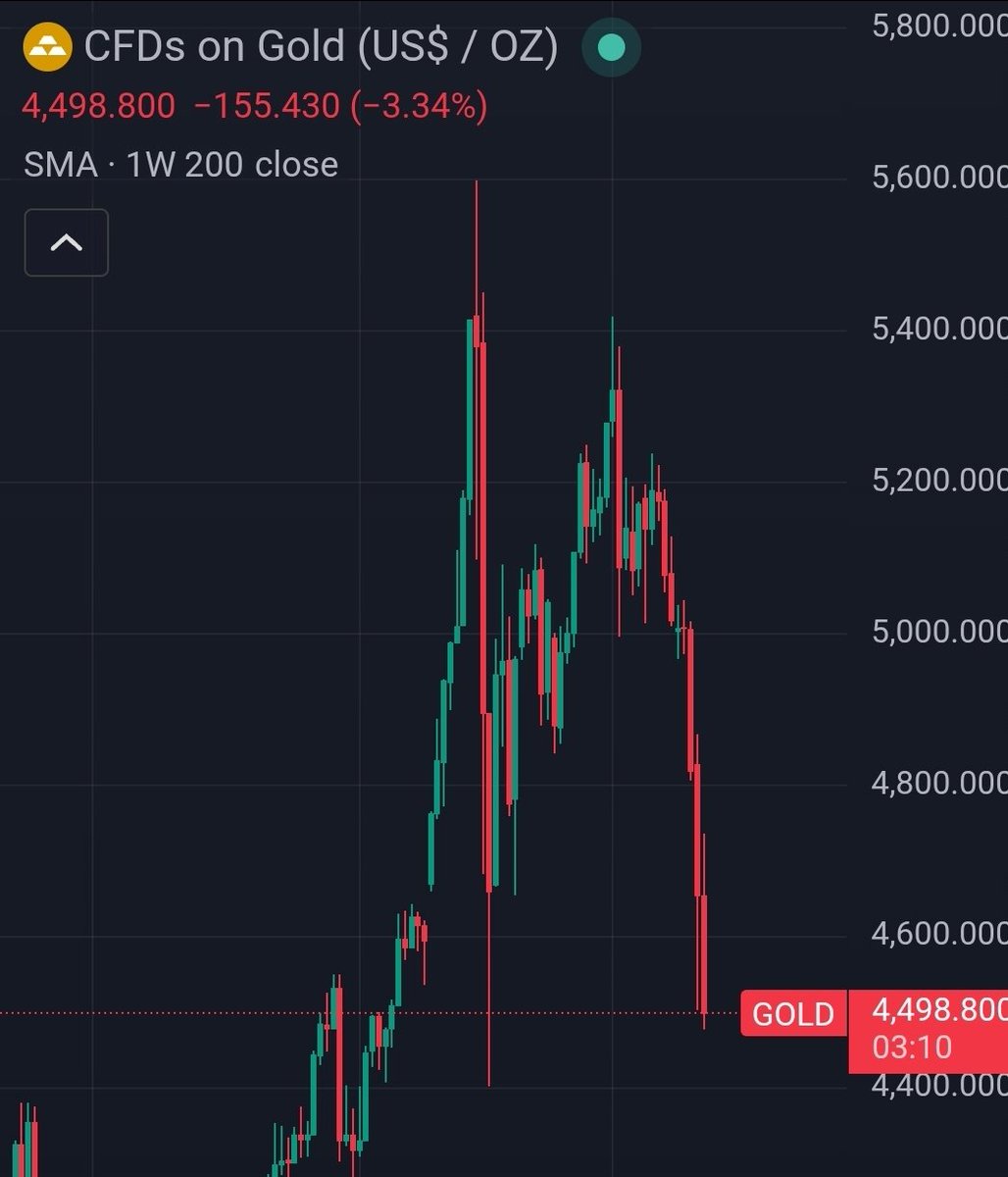 Brandon B tweet media