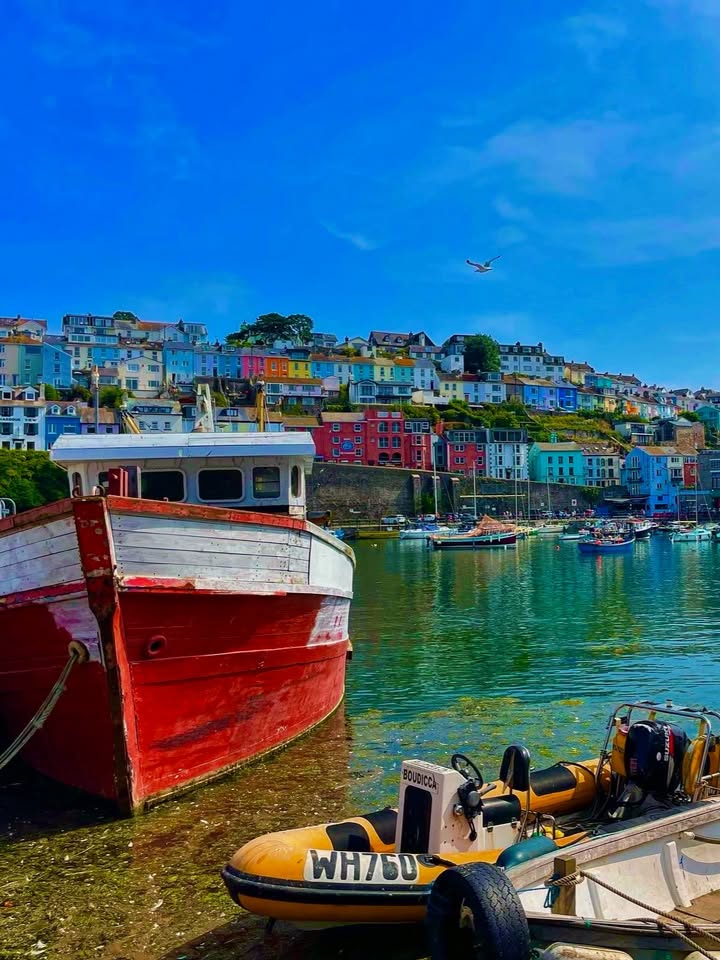 English Riviera tweet media