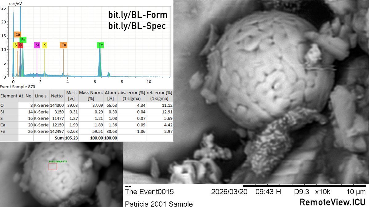MFleischmannMemorial tweet media