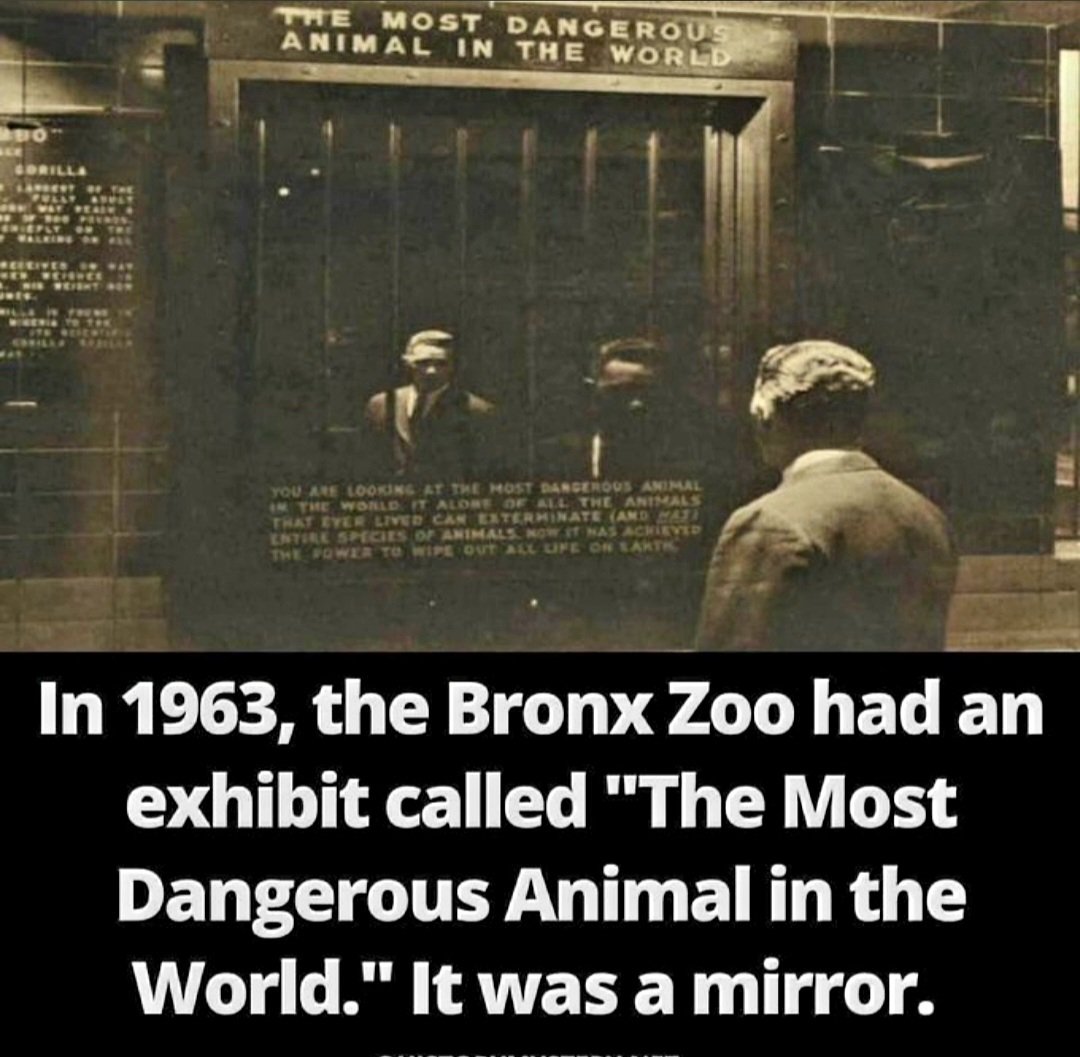 Thursday tweet media