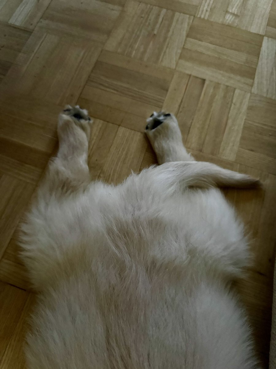 Sari Kontio tweet media