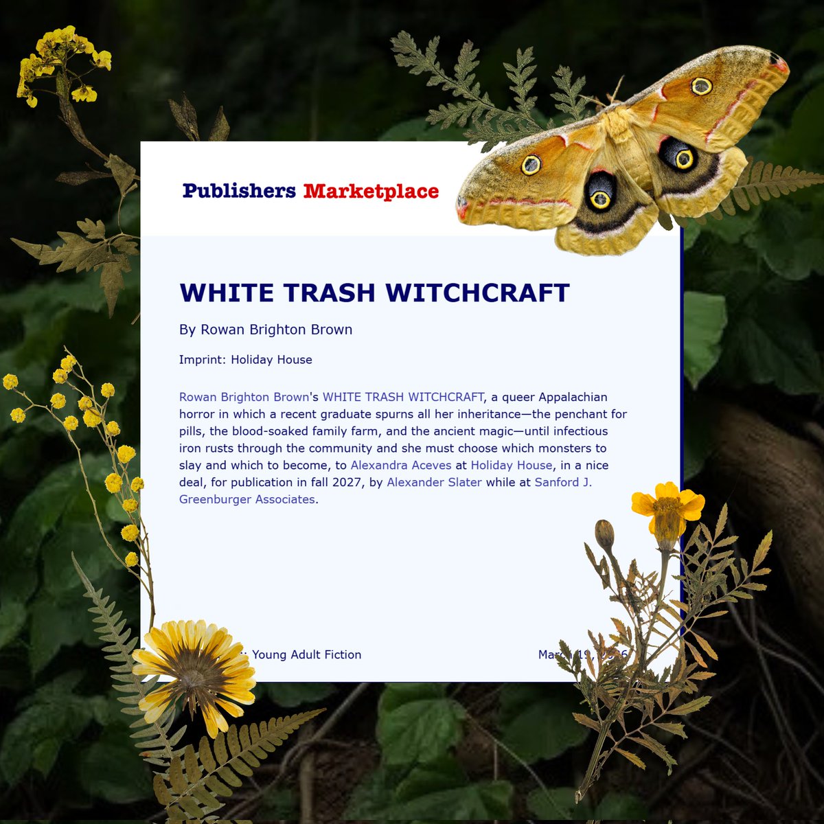 Rowan Brighton Brown tweet media