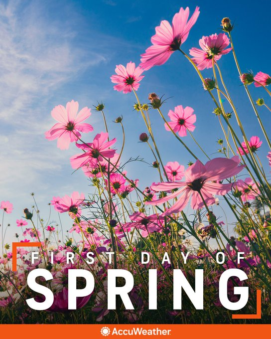 JDA HURLEY, INC. Insurance Agency tweet media