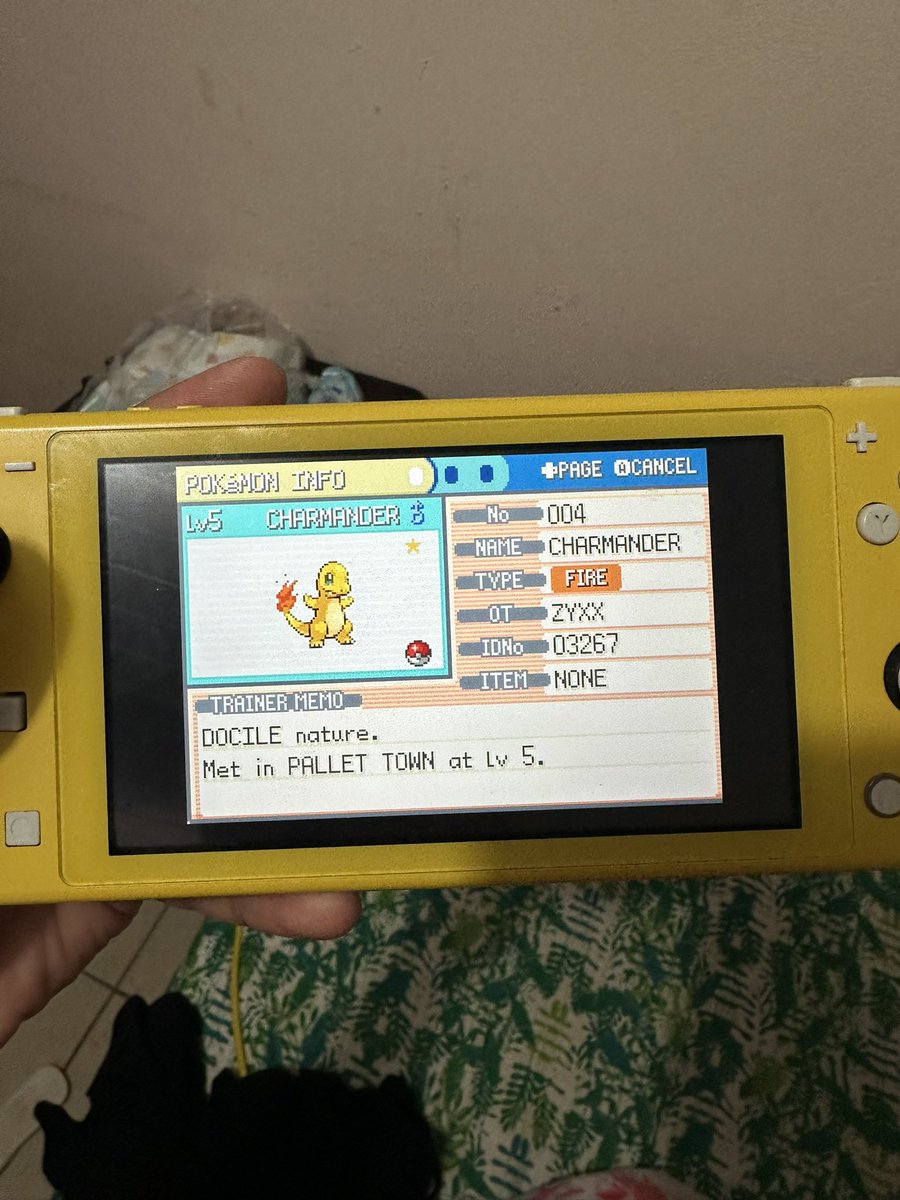 𝐙𝐘𝐗𝐗 𝐏𝐋𝐀𝐘 tweet media