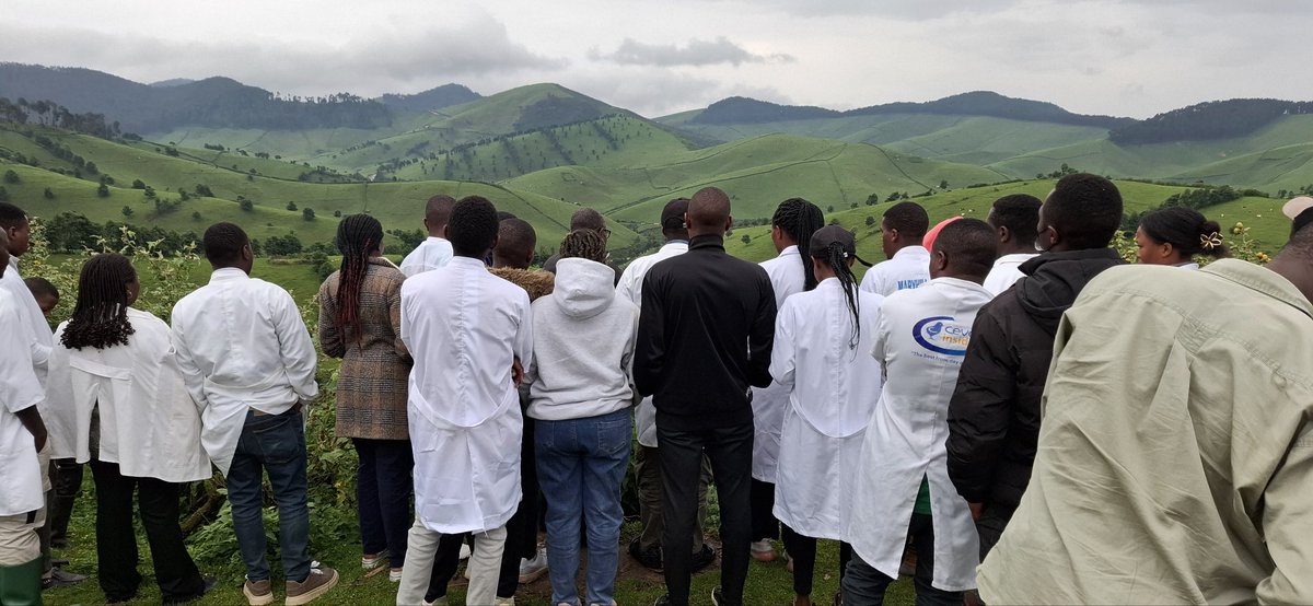 RwandaVets1's tweet photo. Today at Busogo, cohort 1 of veterinary practitioners from companies under the Sanitary Mandate concluded a 4-day training on Planning &amp; Management of Dairy Farms.

This program is part of the #RDDPII project under RAB/SPIU framework, aimed at professionalizing dairy value chain. https://t.co/q0supy8qVc