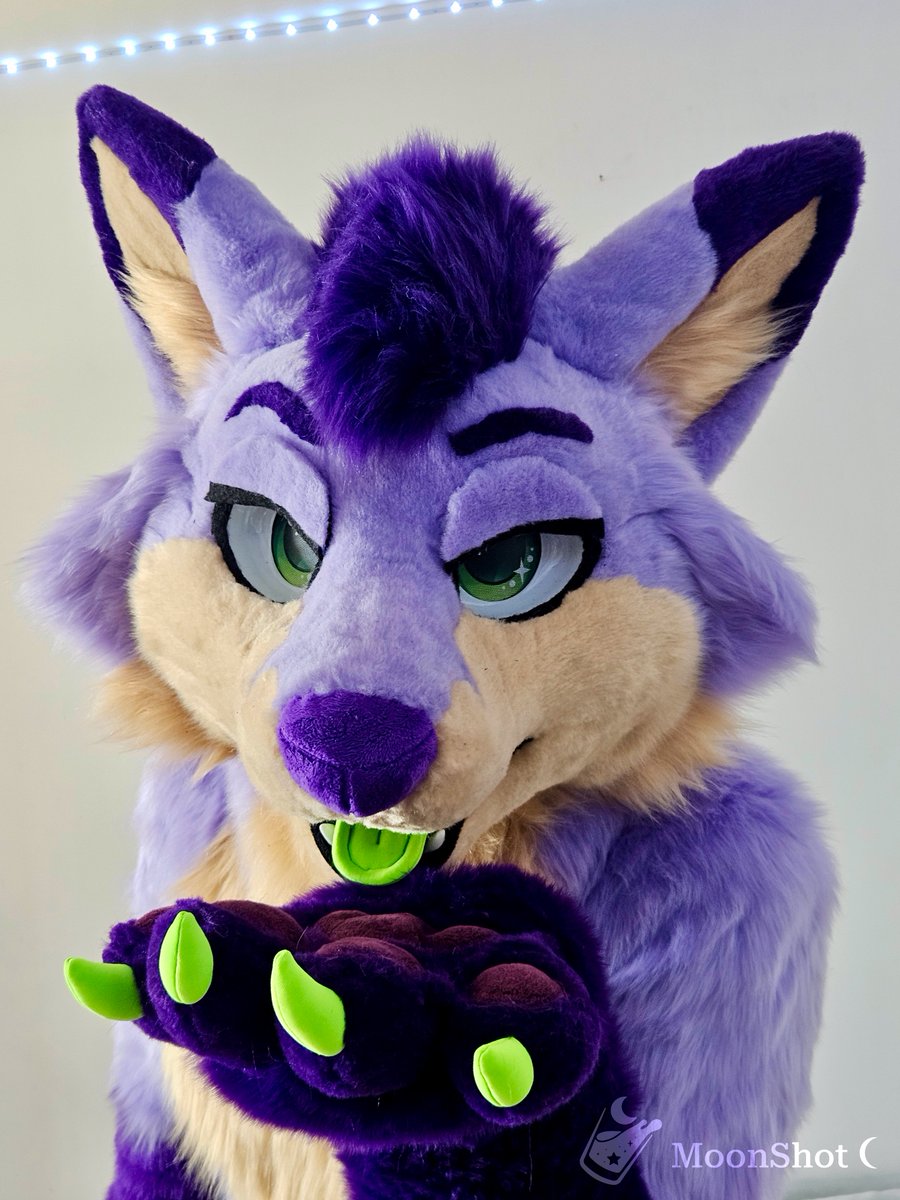 MoonShot 🌙 tweet media