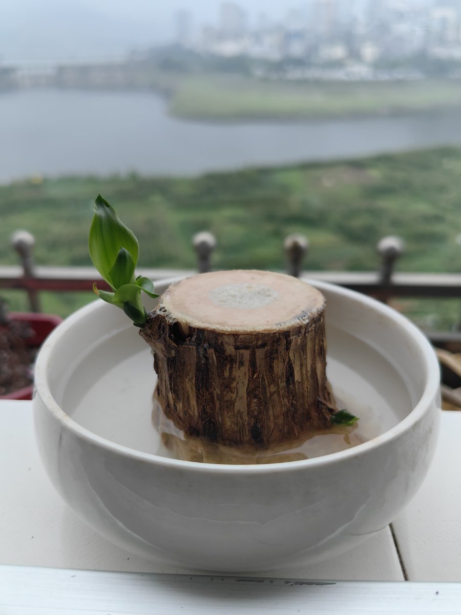 Vincent Law tweet media