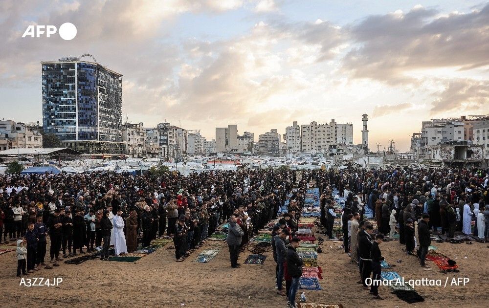 AFP News Agency tweet media