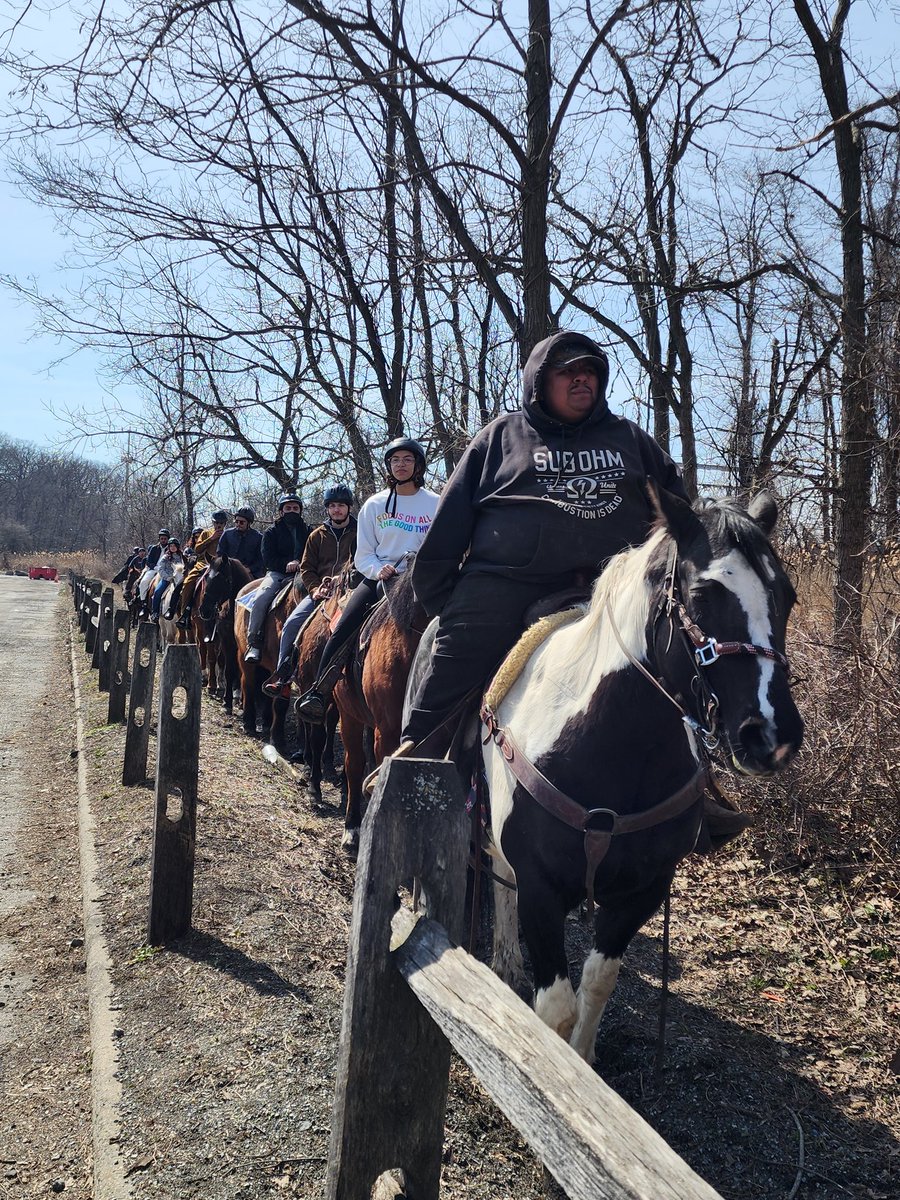 Andrew Fine tweet media