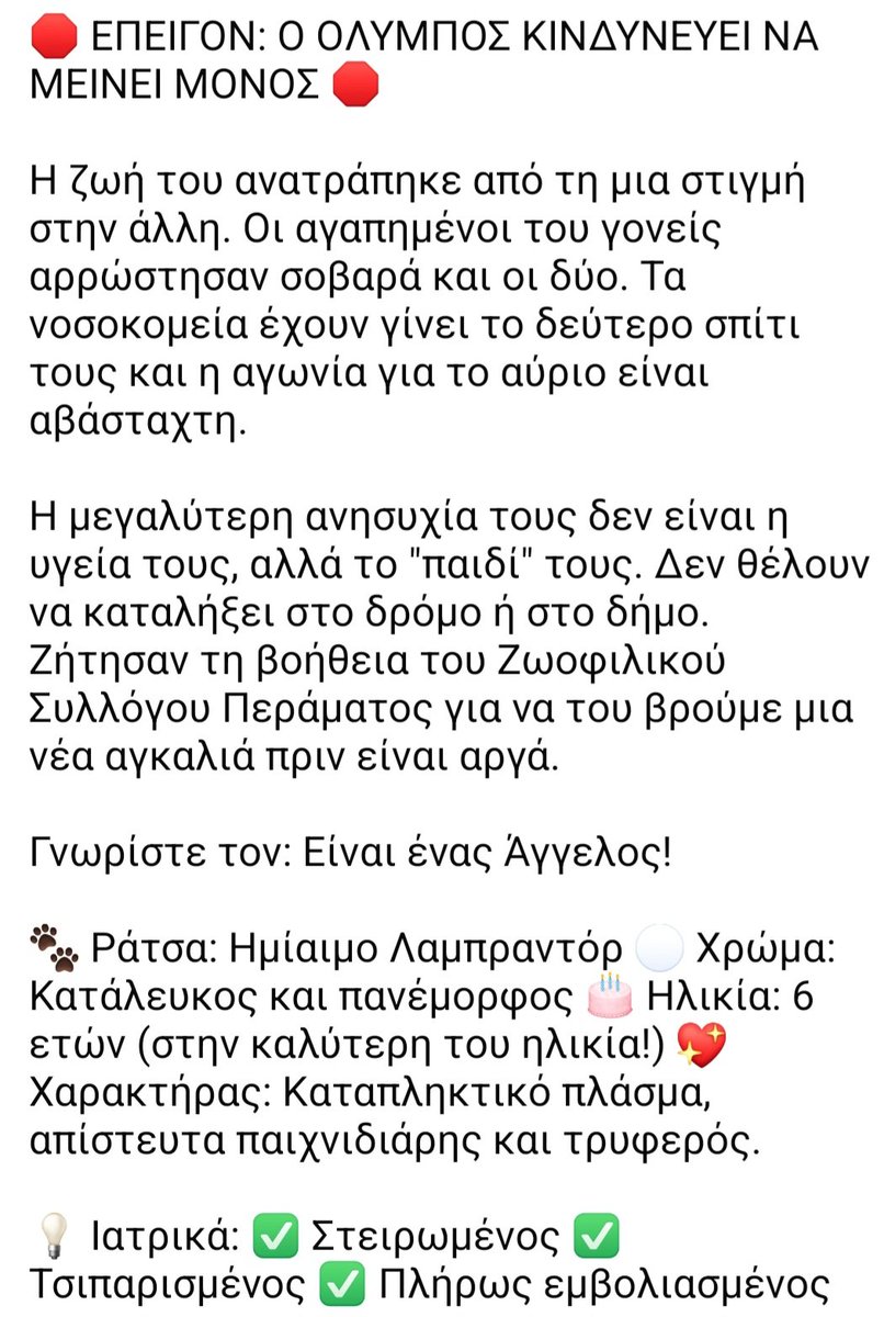 🆘️🆘️🆘️
Ο Όλυμπος κινδυνεύει να μείνει μόνος του
Οι κηδεμόνες του αρρωστησαν σοβαρά κ μπαινοβγαινουν στα νοσοκομεία.Η ανησυχία τους ειναι να μην καταλήξει ο σκυλάκος στο δρόμο ή στον δήμο
6 ετών ημιαιμο λαμπραντορ,στειρωμενος,με τσιπ
Ένας άνθρωπος για την ψυχουλα;
Rt 🙏🙏🙏