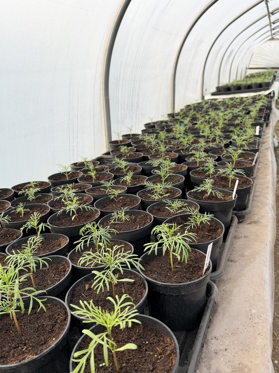 Jonathan Sheppard tweet media