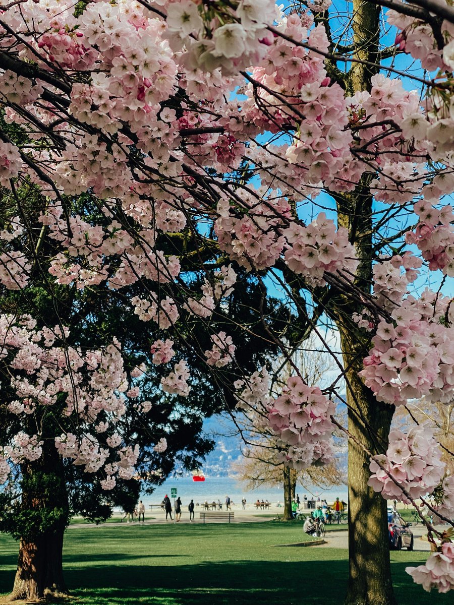 StayVancouverHotels tweet media