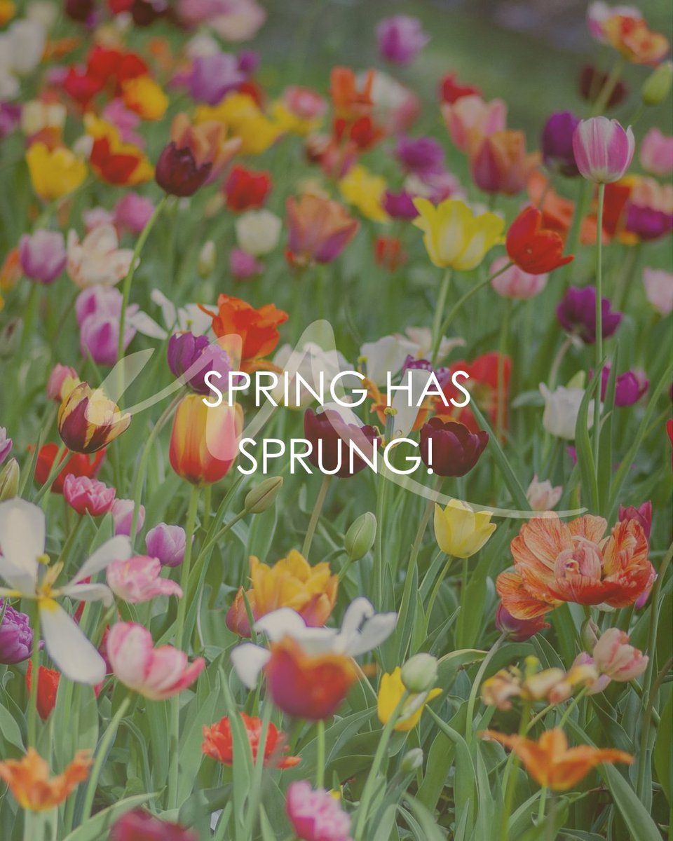 Modera44Apartments tweet media