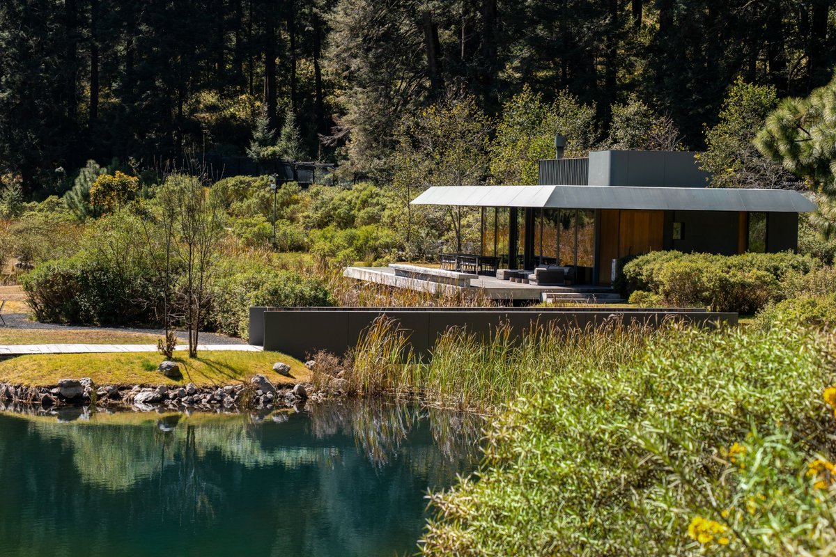 AD México tweet media