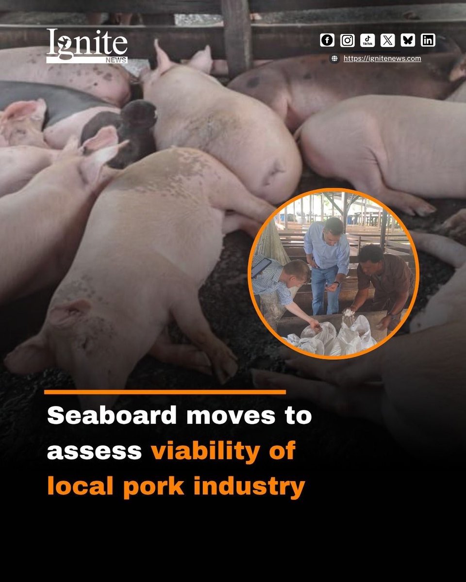 Seaboard Corporation has commissioned Gira Food to assess the feasibility of developing a sustainable pork industry in Guyana, as the country moves to strengthen food security and expand its agricultural sector.

#IgniteNews #Guyana #SeaboardCorporation #FoodSecurity