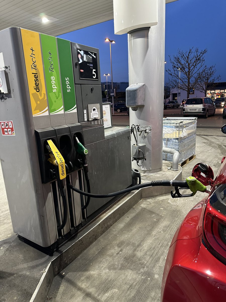 Rafi Sky Kitsune tweet media