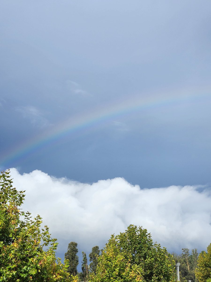 Andres 𓃟 tweet media