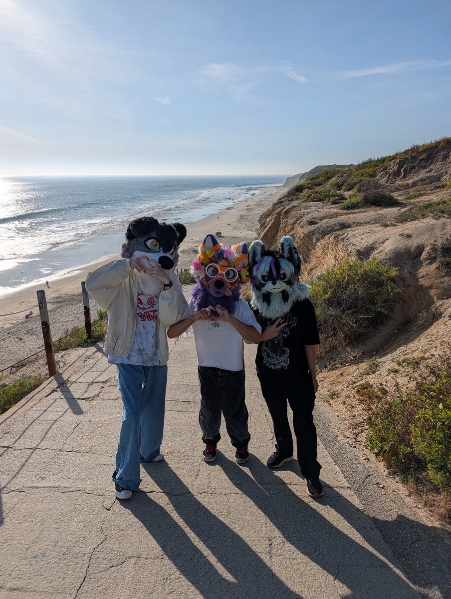 dry 🥎 🔜 TFF tweet media