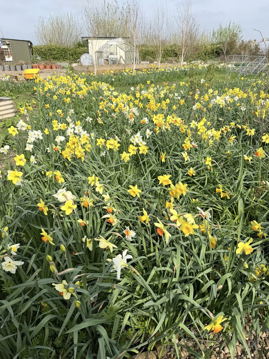 Jonathan Sheppard tweet media