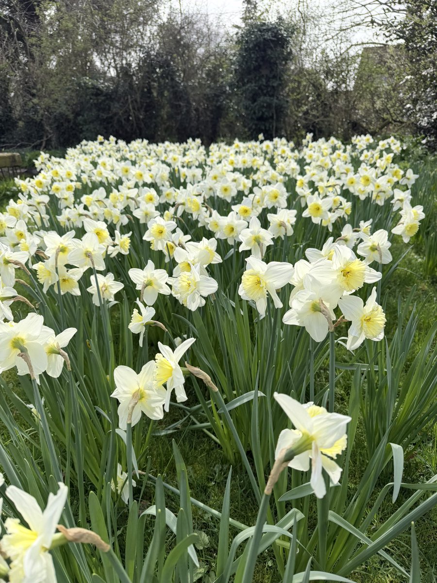 Jonathan Sheppard tweet media