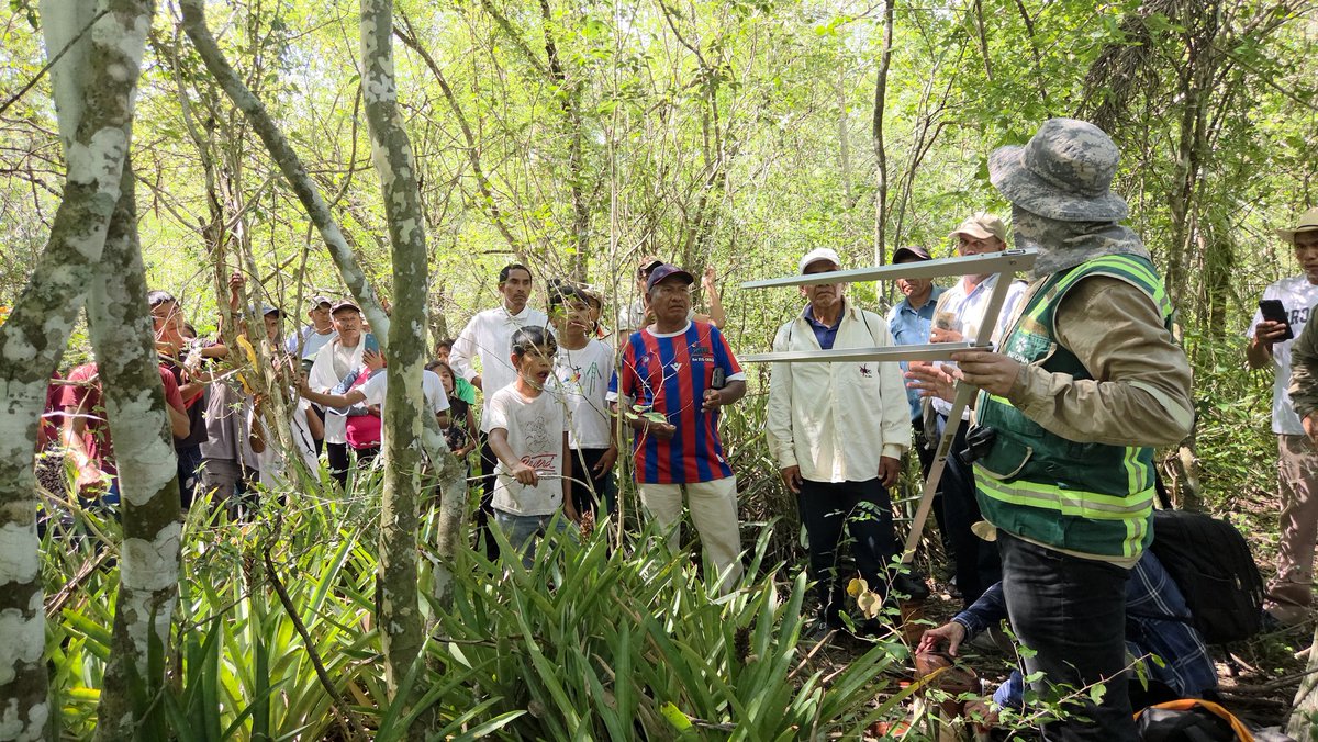Instituto Forestal Nacional del Paraguay tweet media