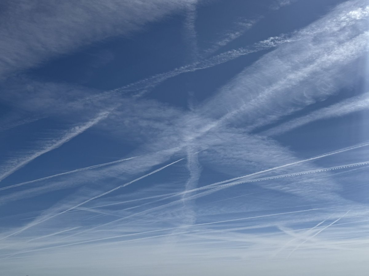 Ethan 🦣 tweet media