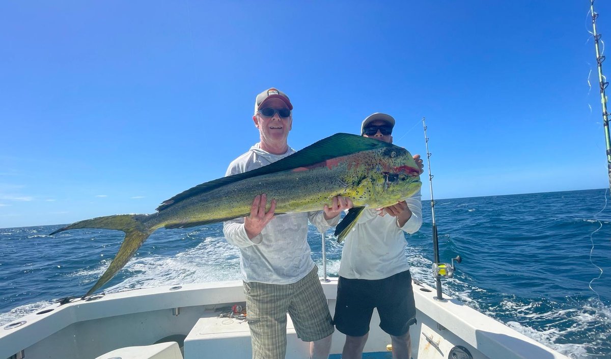 Sun, salt, and the perfect catch 🎣🌊 Powered by pure Guanacaste vibes in Costa Rica 🇨🇷✨

Book your stay today!⁠

🌐 villabuenaonda.com⁠
📧 reservations@villabuenaonda.com⁠
📱 +1-800-414-0159⁠
